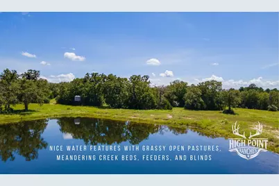 Tbd Ranch Road Off Cr 405 (+/- 245 Acres), Lexington, TX 78947 - Photo 4