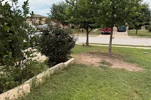 161 Collared Dove Cove, Kyle, TX 78640 - Photo 6
