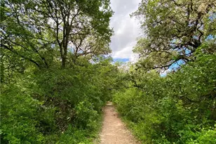 900 S 1st St, Austin, TX 78704 - Photo 32