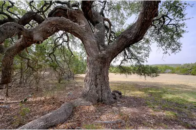 6573 Ranch Road 165, Blanco, TX 78606 - Photo 4