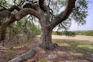 6573 Ranch Road 165, Blanco, TX 78606 - Photo 4