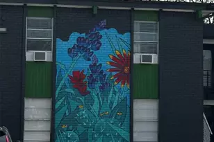 5909 Bolm Rd, Austin, TX 78721 - Photo 10