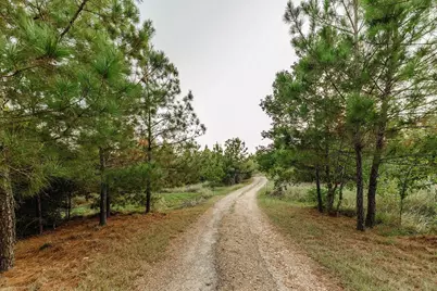 139 Village Forest Drive, Smithville, TX 78957 - Photo 1
