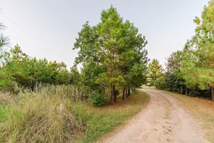 139 Village Forest Dr, Smithville, TX 78957 - Photo 6