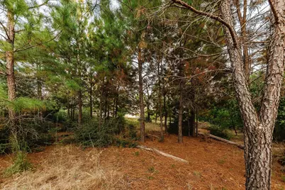 139 Village Forest Drive, Smithville, TX 78957 - Photo 10