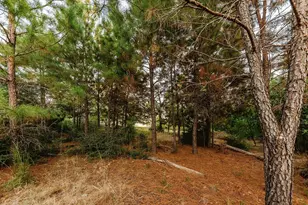 139 Village Forest Dr, Smithville, TX 78957 - Photo 10