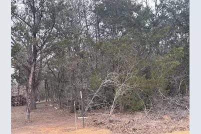 Tbd Pearson Road, Cedar Creek, TX 78616 - Photo 6