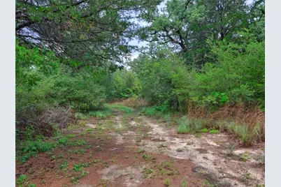 1420 Cr C, Lexington, TX 78947 - Photo 4