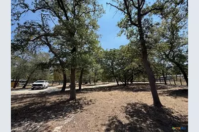 263 Hickory Hill Lane, La Vernia, TX 78121 - Photo 4