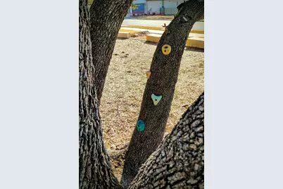 1825 Spring Mountain Cove, Georgetown, TX 78628 - Photo 38