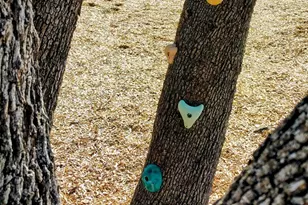 1825 Spg Mountain Cv, Georgetown, TX 78628 - Photo 38