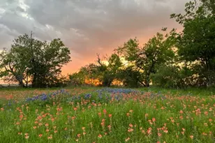 928 Upper Elgin River Rd, Elgin, TX 78621 - Photo 38