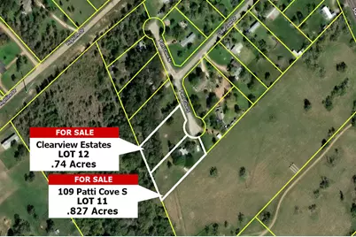 109 Patti Cove S, Bastrop, TX 78602 - Photo 1
