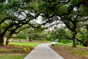 3904 Sightline St, Austin, TX 78731 - Photo 36