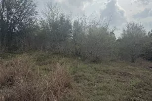 Tbd Mauna Kea Ln, Bastrop, TX 78602 - Photo 1