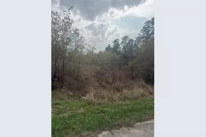 Tbd Mauna Kea Lane, Bastrop, TX 78602 - Photo 2