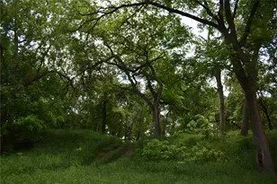 194 Gabriel Meadows Dr, Hutto, TX 78634 - Photo 36