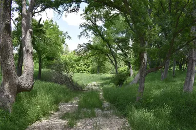 194 Gabriel Meadows Drive, Hutto, TX 78634 - Photo 40