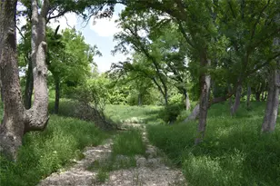 194 Gabriel Meadows Dr, Hutto, TX 78634 - Photo 40