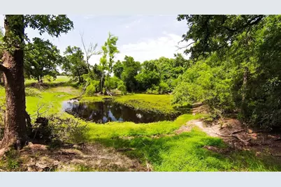 269 Balch Road, Elgin, TX 78621 - Photo 26
