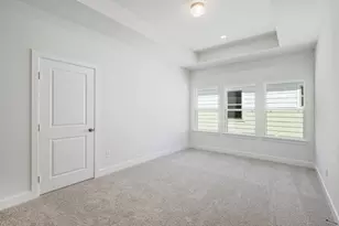 256 Star Rush Trl, Georgetown, TX 78633 - Photo 12