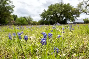 100 Linsey Cove, Burnet, TX 78611 - Photo 34