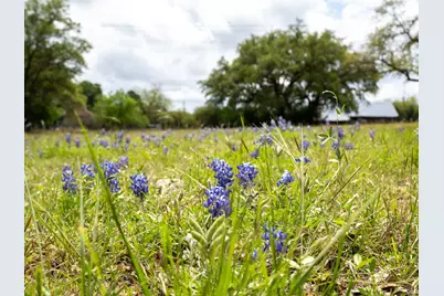 100 Linsey Cove, Burnet, TX 78611 - Photo 36