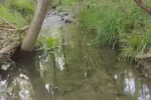 15798 E Fm 2843, Salado, TX 76571 - Photo 36