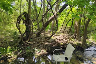 15798 E Fm 2843, Salado, TX 76571 - Photo 34