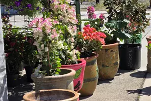 174 Falcon Dr, Luling, TX 78648 - Photo 28