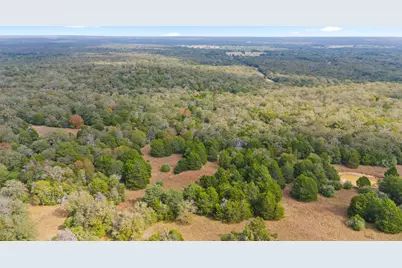 Tbd County Road #415, Lexington, TX 78947 - Photo 12