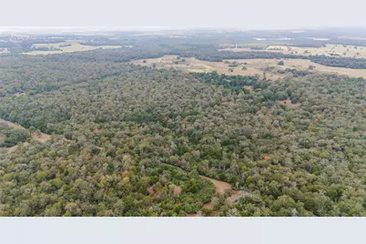 Tbd County Road #415, Lexington, TX 78947 - Photo 4