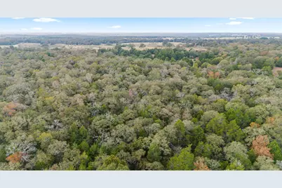 Tbd County Road #415, Lexington, TX 78947 - Photo 4