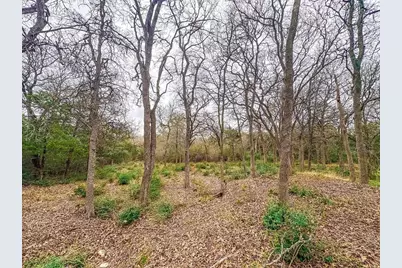 115 Deep Woods Court, Cedar Creek, TX 78612 - Photo 6