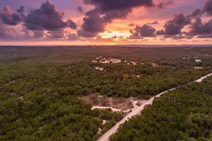 1250 Myers Creek Rd, Dripping Springs, TX 78620 - Photo 1