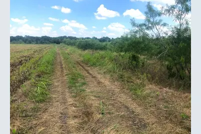 Tbd Cr 421, Thrall Tx 765 County Road 421, Thrall, TX 76578 - Photo 14