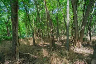 128 Kaukonahua Ln, Bastrop, TX 78602 - Photo 1