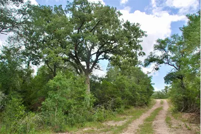 Tbd Cr 420, Waelder, TX 78959 - Photo 16