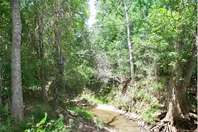 Tbd Cr 420, Waelder, TX 78959 - Photo 14