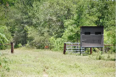 Tbd Cr 420, Waelder, TX 78959 - Photo 18