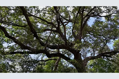 Tbd Cr 420, Waelder, TX 78959 - Photo 6