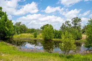 270 Dry Creek Rd, Manor, TX 78653 - Photo 38