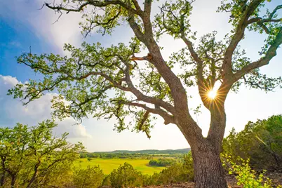 000 Spring Creek Ranch, Dripping Springs, TX 78676 - Photo 6