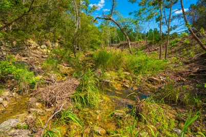 000 Spring Creek Ranch, Dripping Springs, TX 78676 - Photo 20