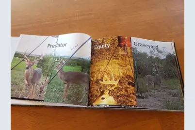 7947 County Road 1255, Lampasas, TX 76550 - Photo 22