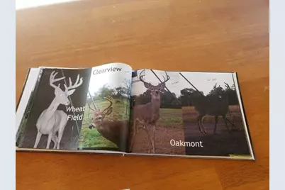 7947 County Road 1255, Lampasas, TX 76550 - Photo 24