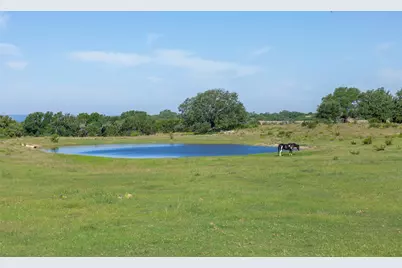 1081 County Road 1320, Lampasas, TX 76550 - Photo 14