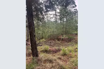 Lot 1491 Haleakala, Bastrop, TX 78602 - Photo 4