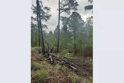 Lot 1491 Haleakala, Bastrop, TX 78602 - Photo 6