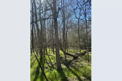 Lot 321 Kolekole Lane, Bastrop, TX 78602 - Photo 6